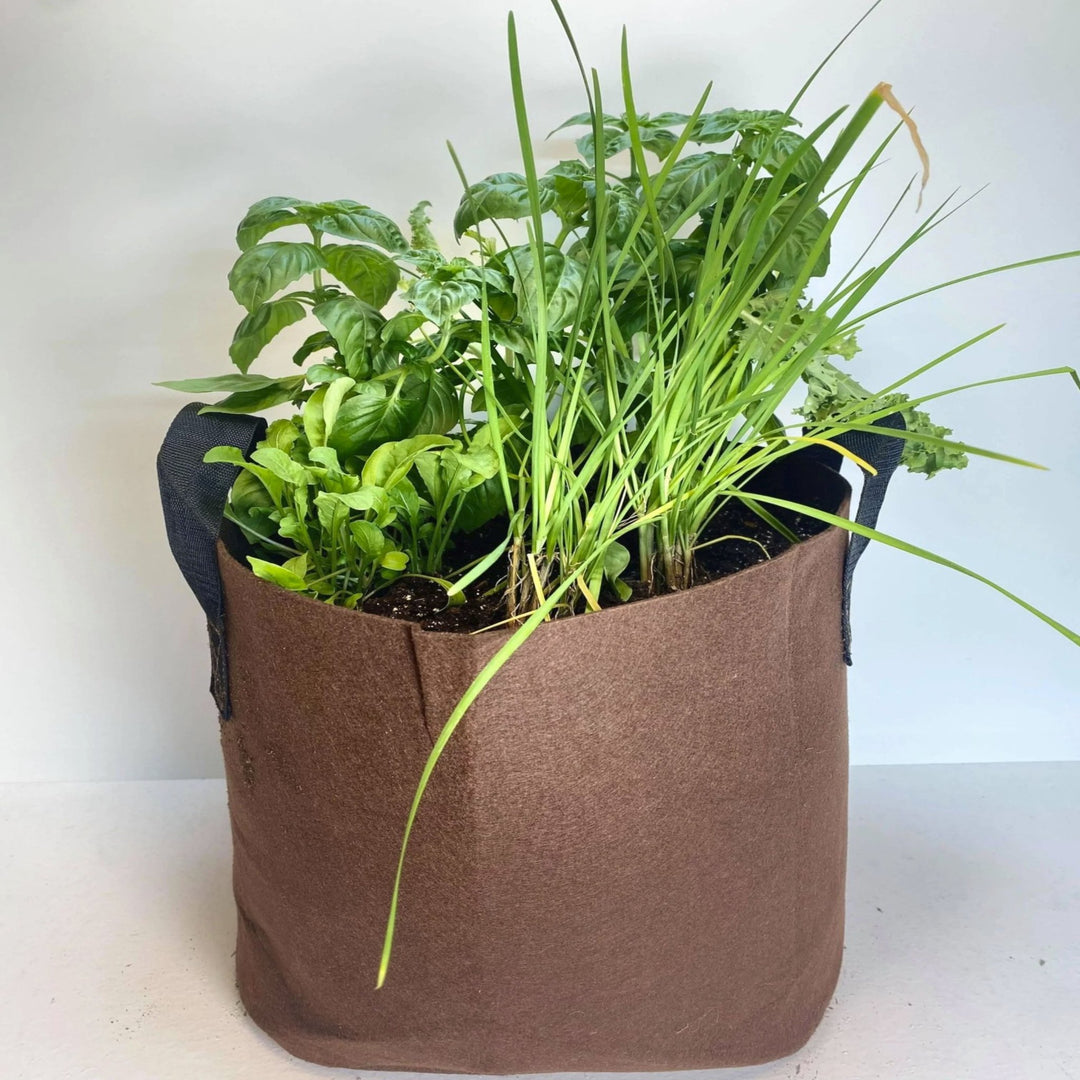 GrowBag Garden Lab - Pesto - Greenhouse Megastore