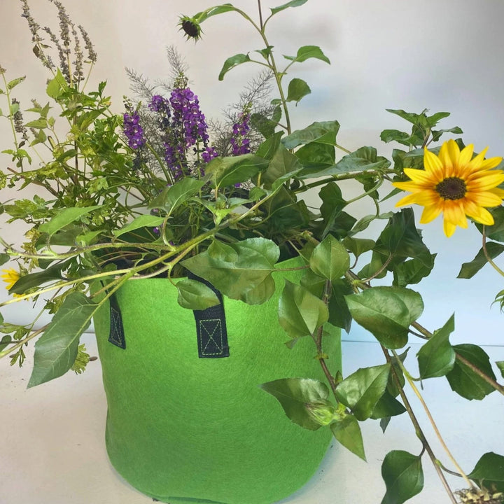 GrowBag Garden Lab - Pollinator - Greenhouse Megastore