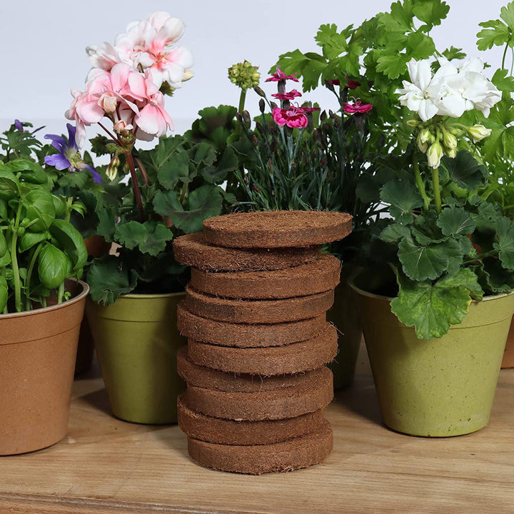 GrowLite Coir Discs 10 pack - Greenhouse Megastore