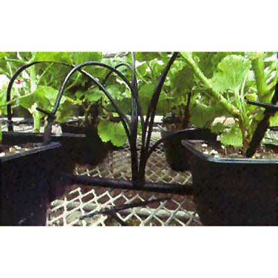 Container Drip Irrigation System