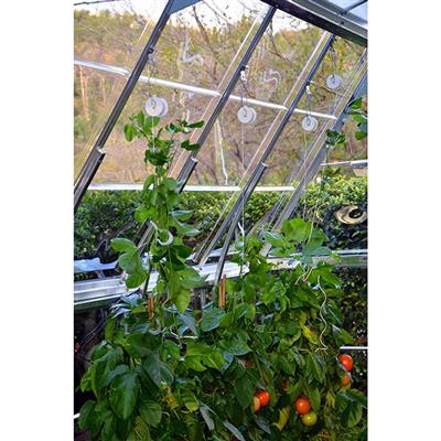 Trellising Kit for Palram - Canopia Greenhouses