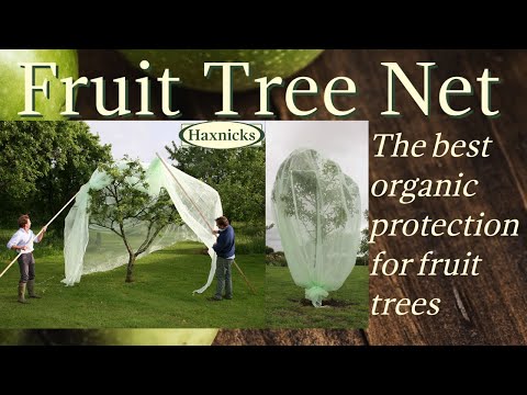 Fruit Tree Cover