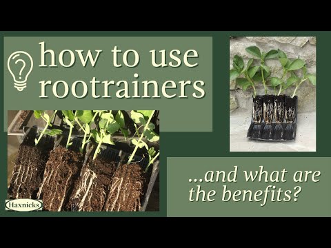 Deep Rootrainer – Greenhouse Megastore