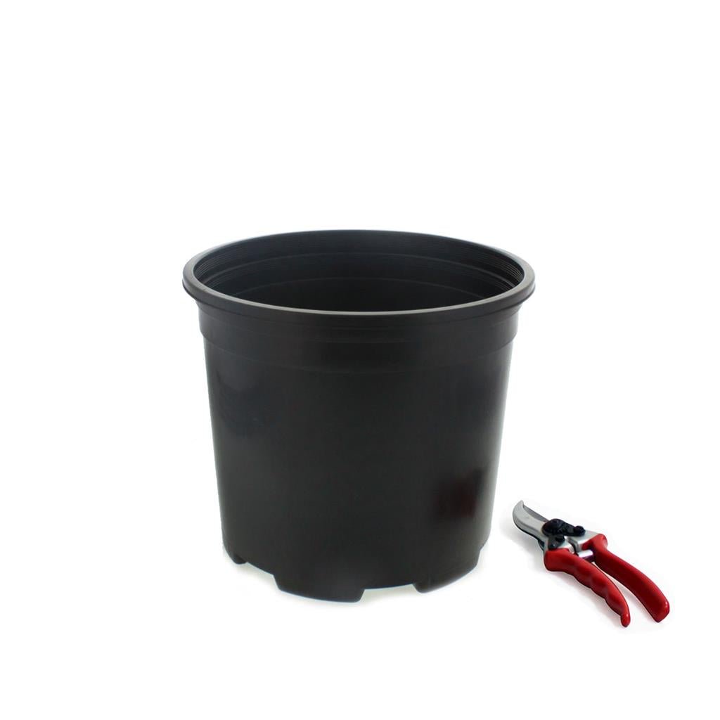 Injection Molded Nursery Containers - Greenhouse Megastore