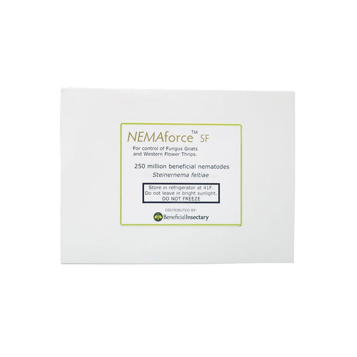 NEMAforce SF for Gnat Control