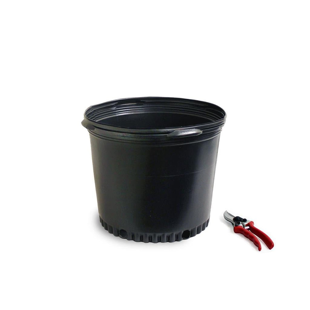 Large Nursery Containers - Greenhouse Megastore