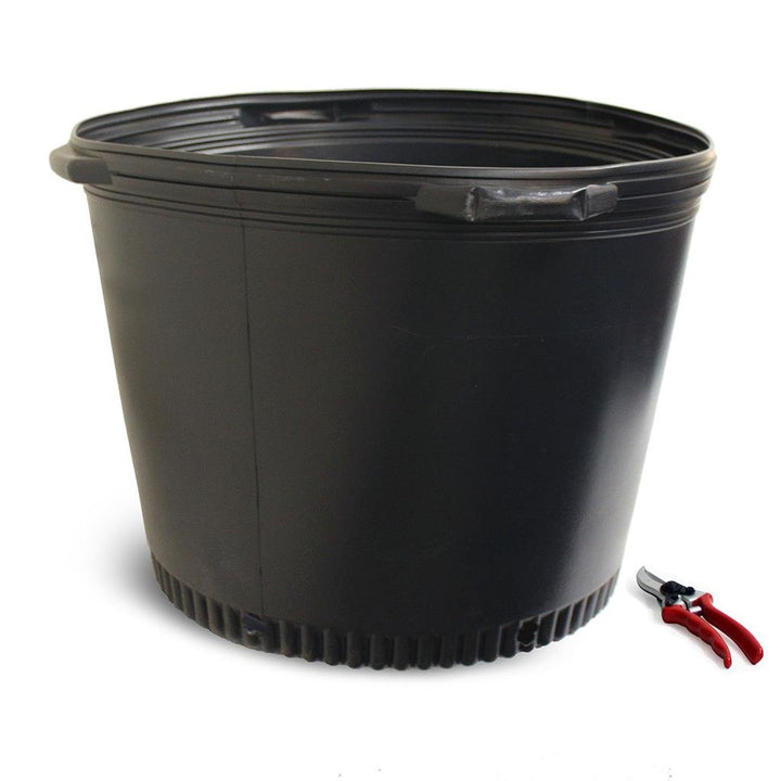Large Nursery Containers - Greenhouse Megastore