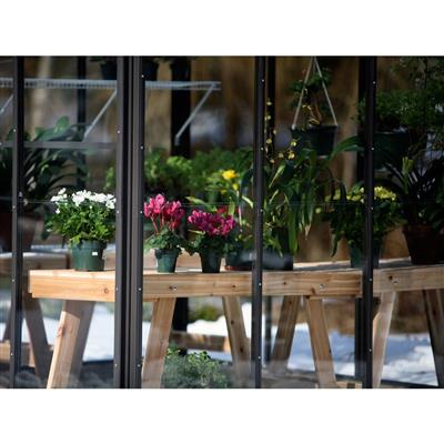 Legacy Greenhouse Kit 8 x 8 ft. with Tempered Glass Sidewalls, 6mm Polycarbonate Roof and Aluminum Frame - Greenhouse Megastore