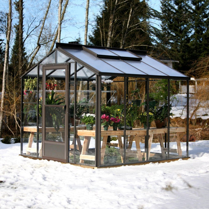 Legacy Greenhouse Kit 8 x 8 ft. with Tempered Glass Sidewalls, 6mm Polycarbonate Roof and Aluminum Frame - Greenhouse Megastore