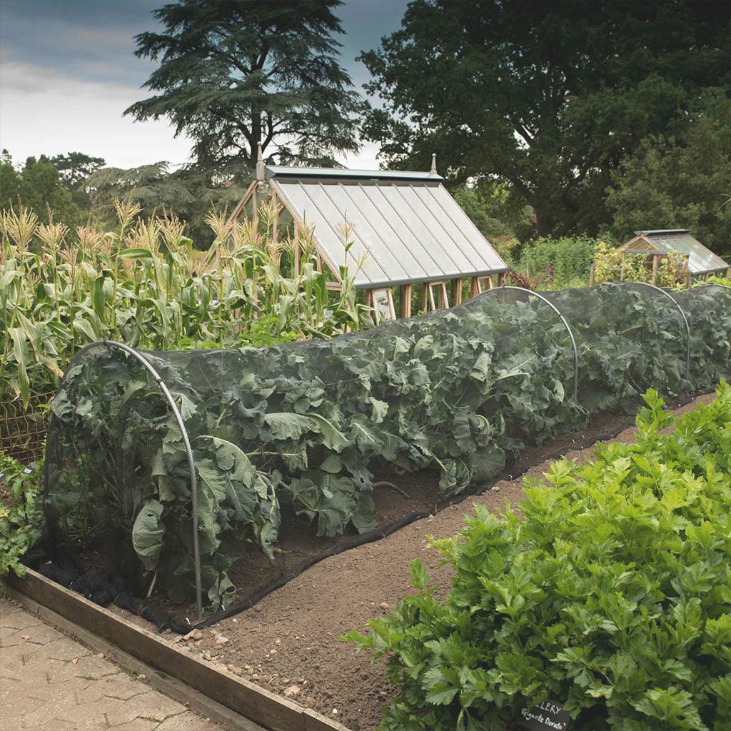 Low Tunnel DIY Greenhouse Kit 20 x 3.5 ft. with 3mil Overwintering Film and Galvanized Steel Hoops - Greenhouse Megastore