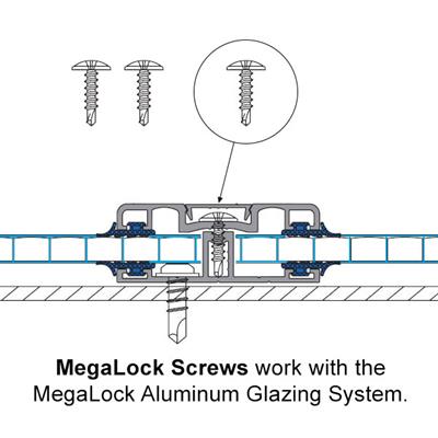Mega Lock Screws - Pack of 100 - Greenhouse Megastore