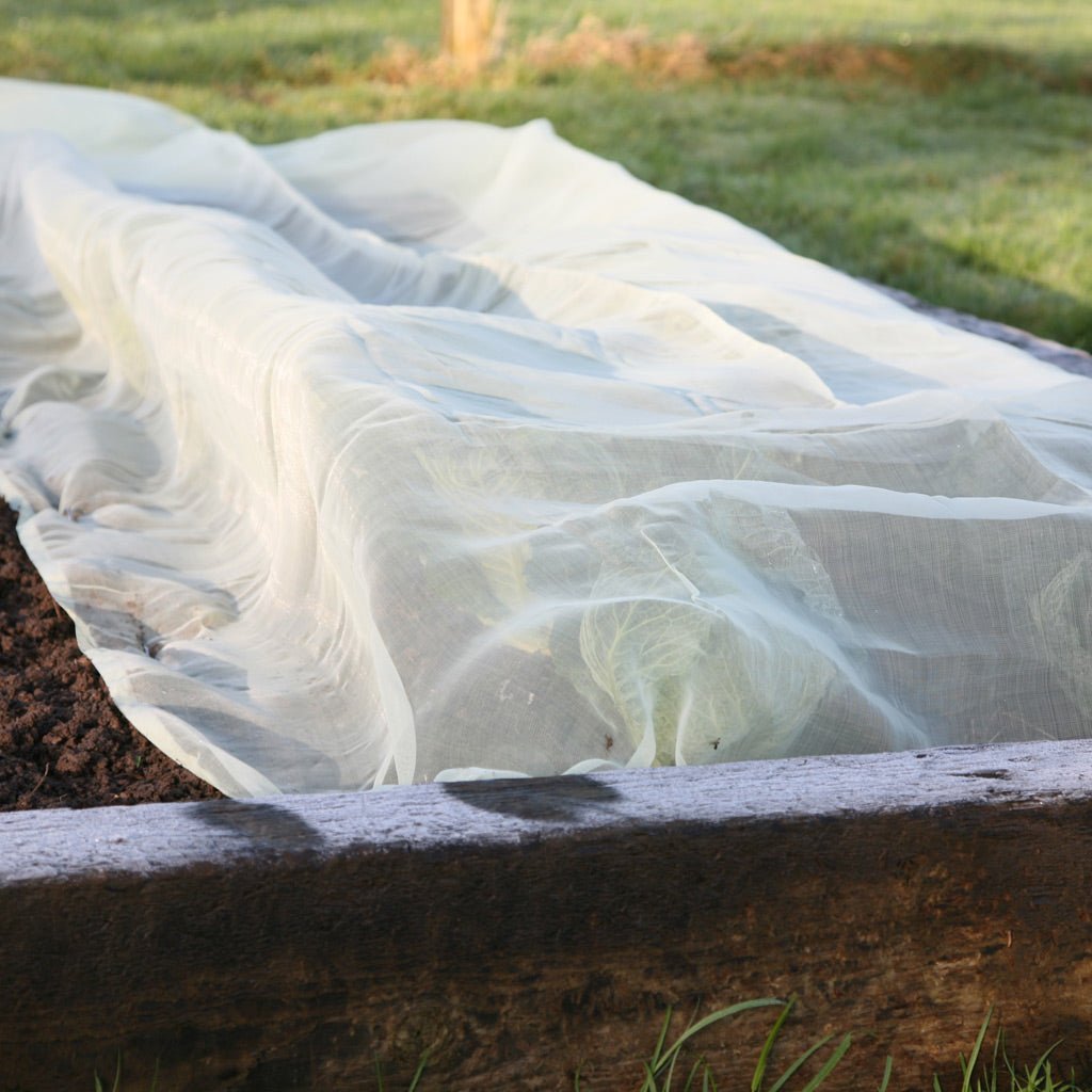 Micromesh Blanket - Greenhouse Megastore
