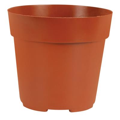 Mini Succulent Pot - Greenhouse Megastore