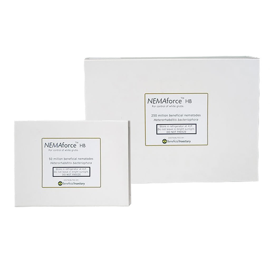 NEMAforce™ HB for Gnat Control - Greenhouse Megastore