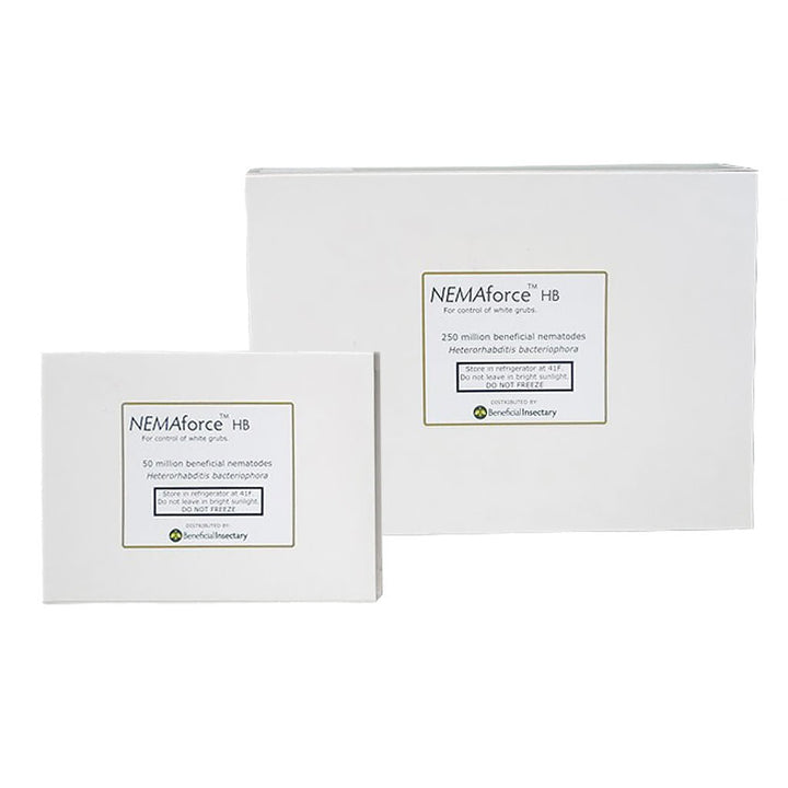 NEMAforce™ HB for Gnat Control - Greenhouse Megastore