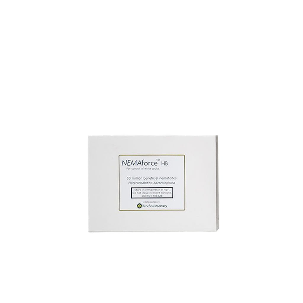 NEMAforce™ HB for Gnat Control - Greenhouse Megastore