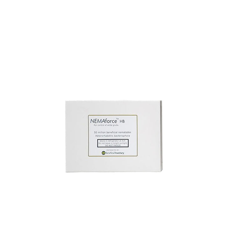 NEMAforce™ HB for Gnat Control - Greenhouse Megastore