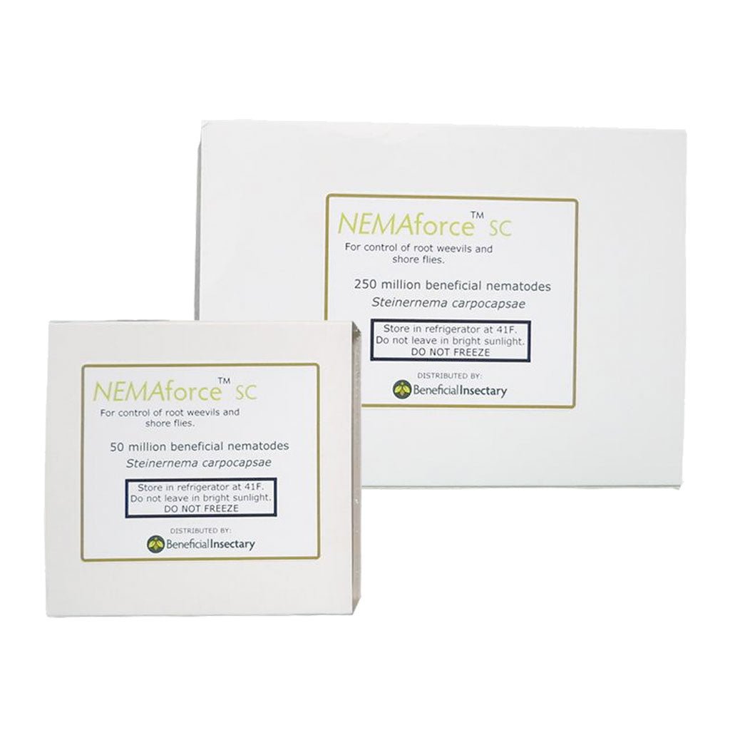 NEMAforce™ SC for Gnat Control - Greenhouse Megastore