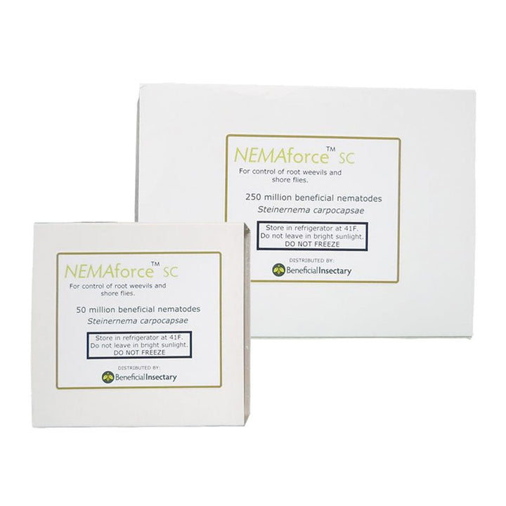 NEMAforce™ SC for Gnat Control - Greenhouse Megastore