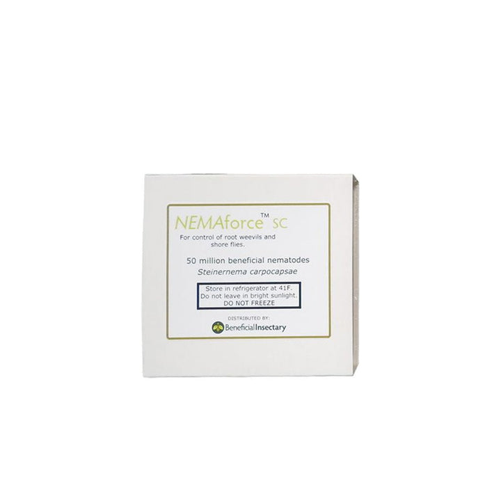 NEMAforce™ SC for Gnat Control - Greenhouse Megastore
