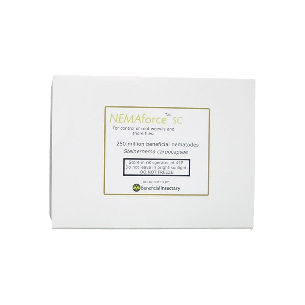 NEMAforce™ SC for Gnat Control - Greenhouse Megastore