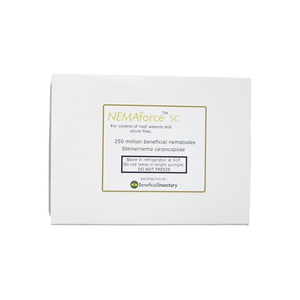 NEMAforce™ SC for Gnat Control - Greenhouse Megastore