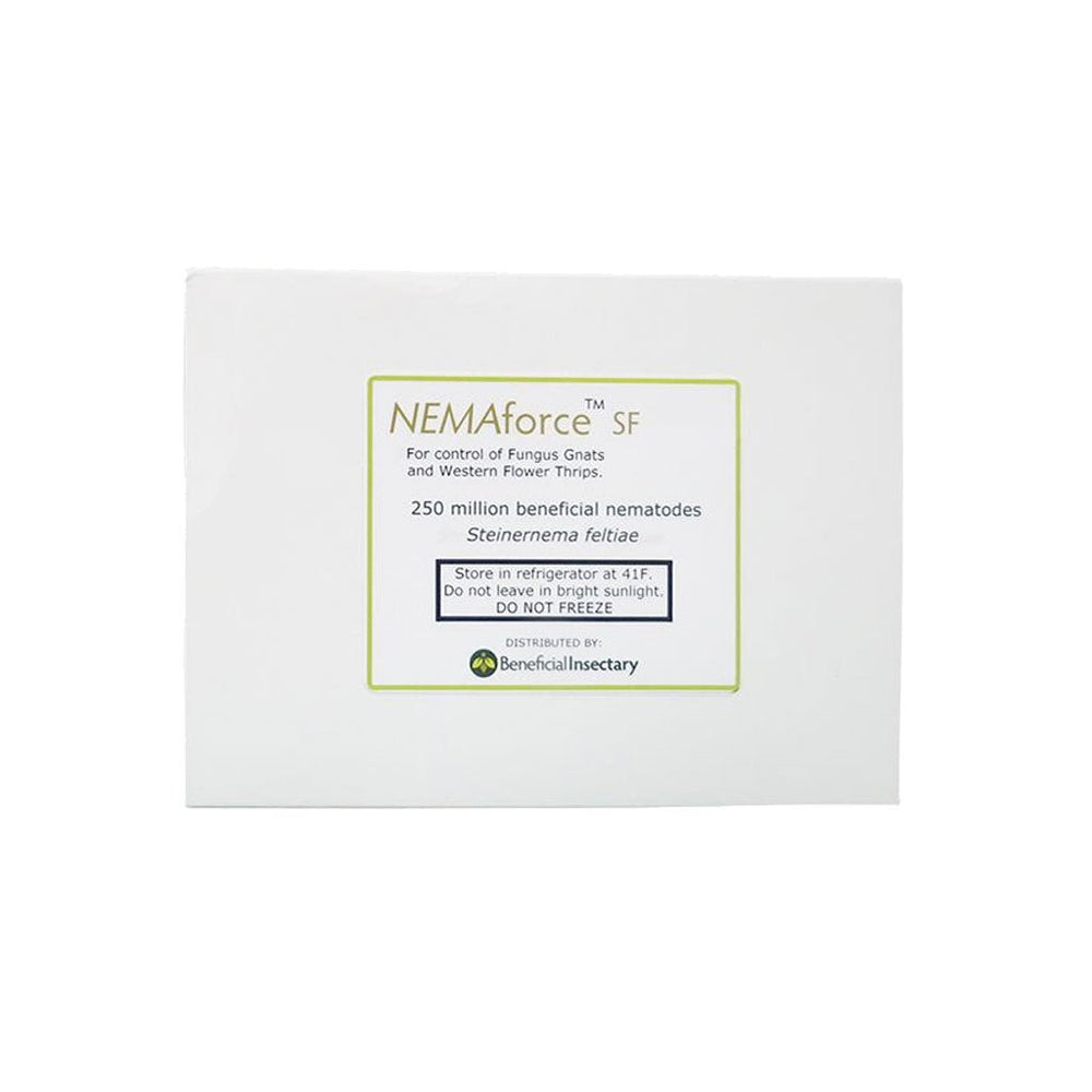 NEMAforce™ SF for Gnat Control - Greenhouse Megastore
