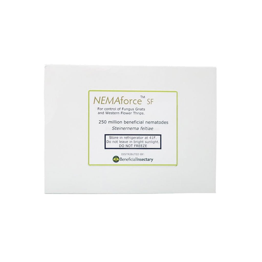 NEMAforce™ SF for Gnat Control - Greenhouse Megastore