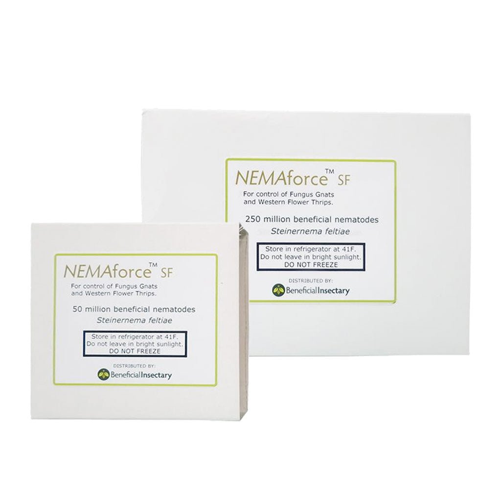 NEMAforce™ SF for Gnat Control - Greenhouse Megastore