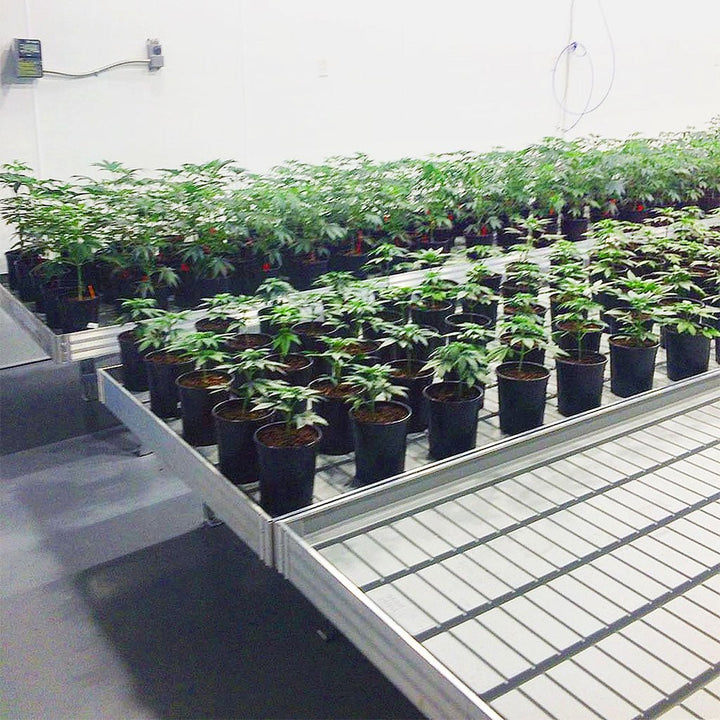 Next G3N™ Ebb & Flow Bench - Greenhouse Megastore