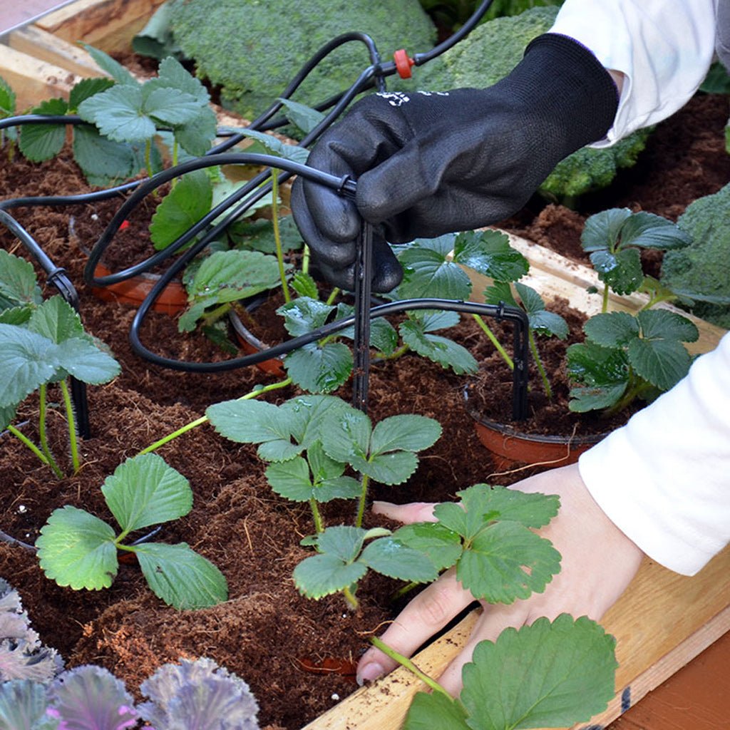Palram - Canopia Drip Irrigation Kit - Greenhouse Megastore