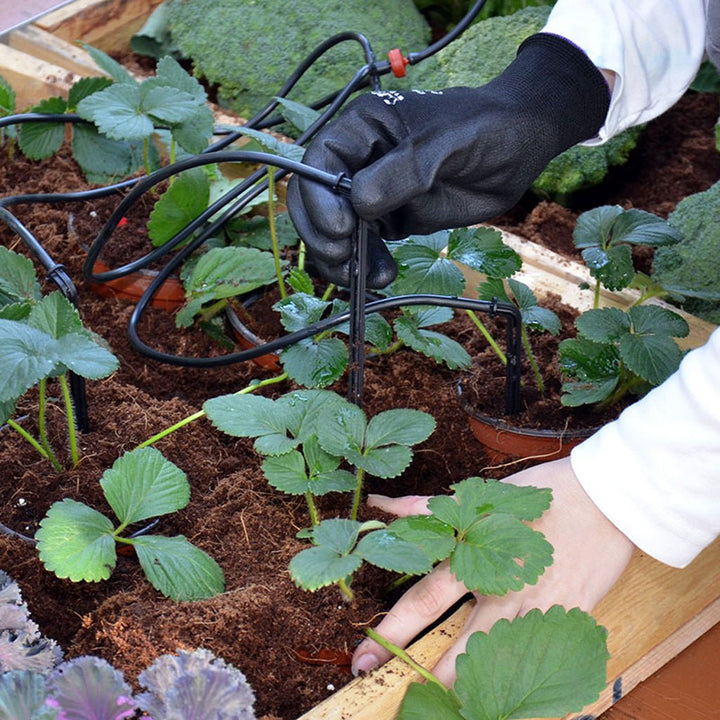 Palram - Canopia Drip Irrigation Kit - Greenhouse Megastore