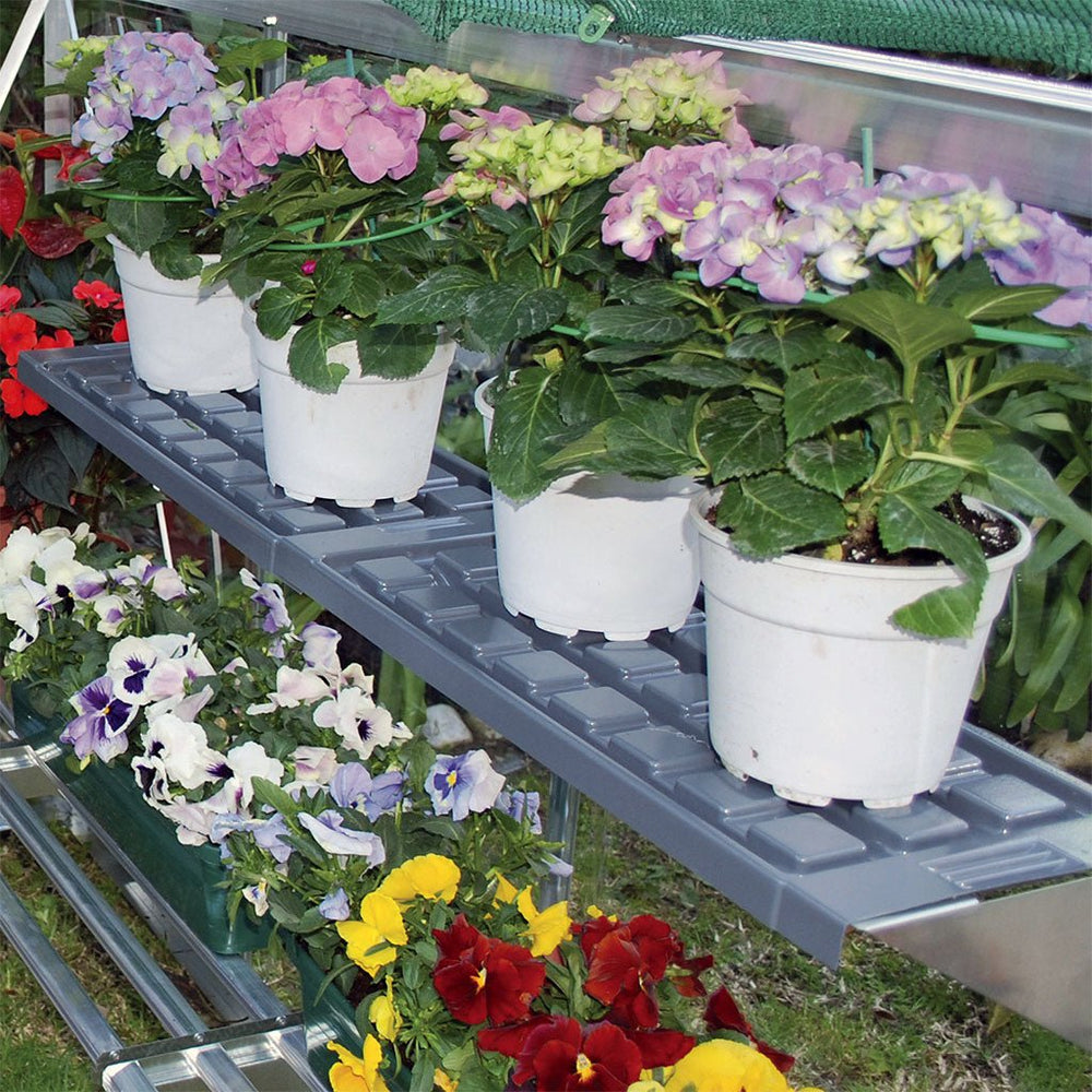 Palram - Canopia Twin Shelf Kit for Greenhouses - Greenhouse Megastore