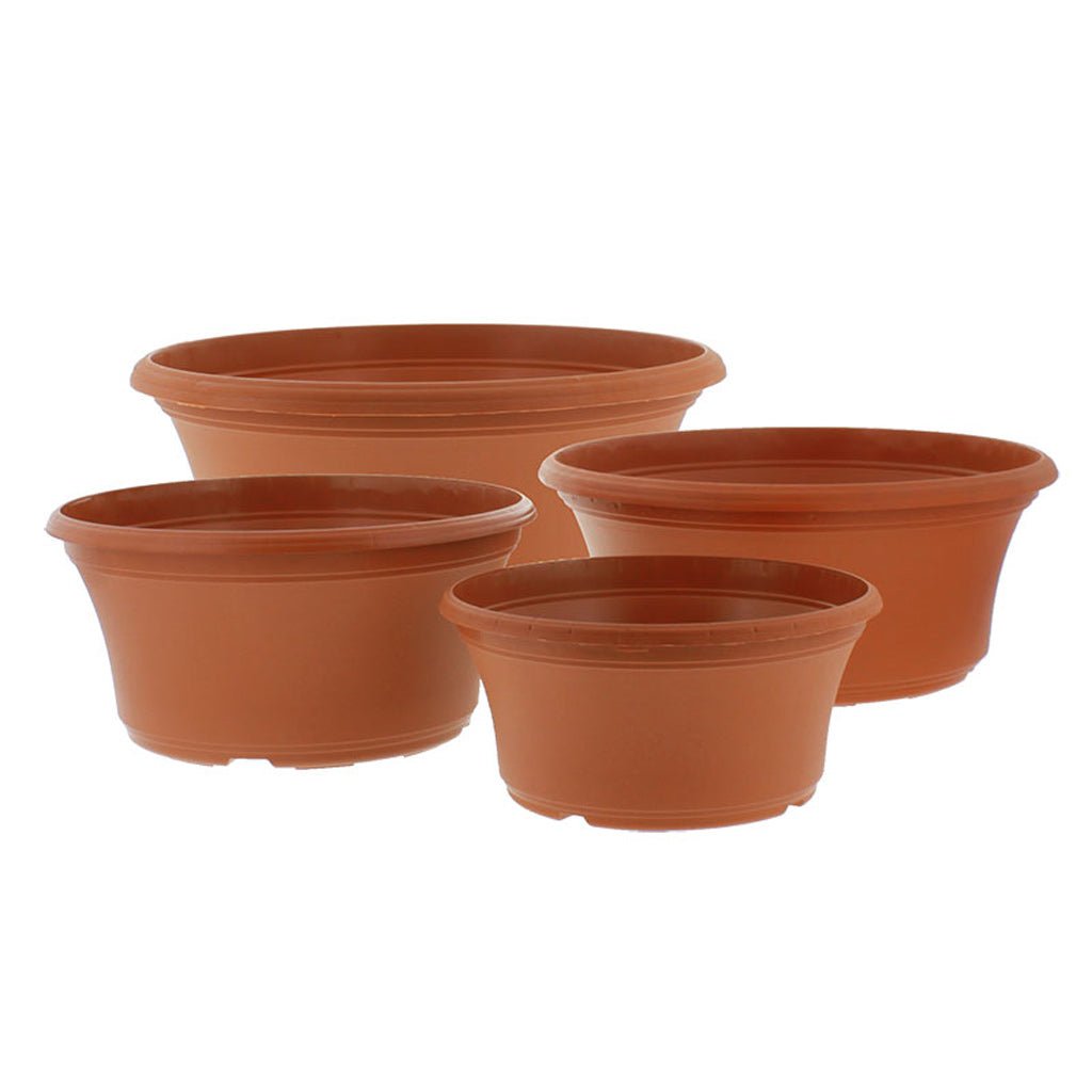 Panterra Bowl Planters - Greenhouse Megastore
