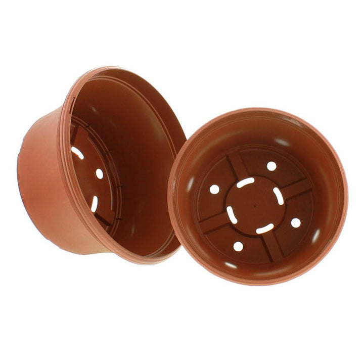 Panterra Bowl Planters - Greenhouse Megastore