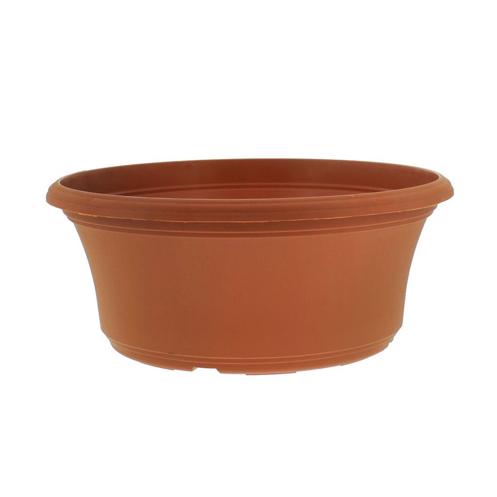 Panterra Bowl Planters - Greenhouse Megastore