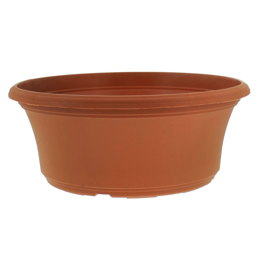 Panterra Bowl Planters - Greenhouse Megastore