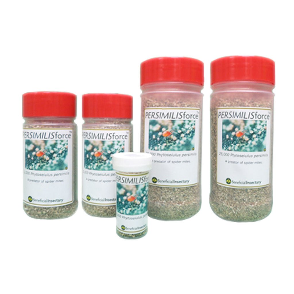PERMSIMILISforce™ for Spider Mite Control - Greenhouse Megastore