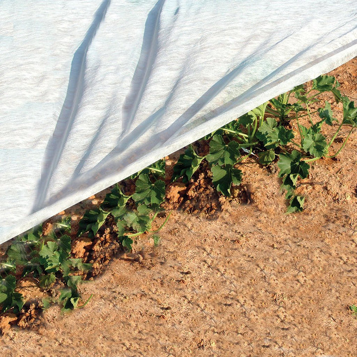 Plant and Seed Guard - Greenhouse Megastore
