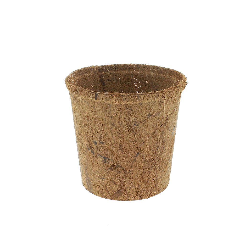PlantBest™ Round Coir Pots - Greenhouse Megastore