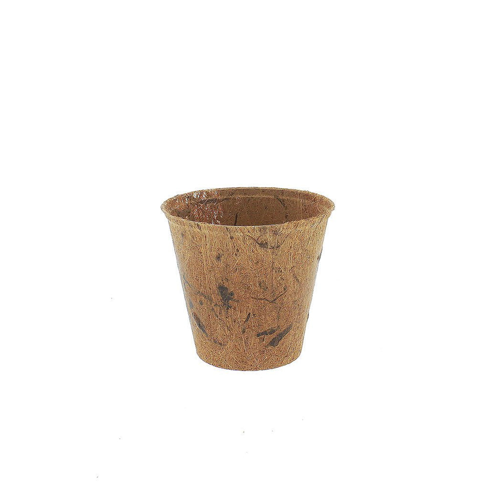 PlantBest™ Round Coir Pots - Greenhouse Megastore