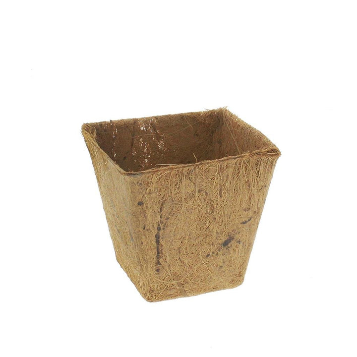PlantBest™ Square Coir Pots - Greenhouse Megastore