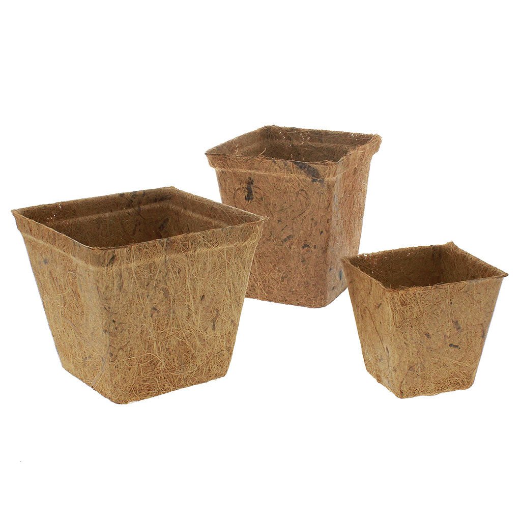 PlantBest™ Square Coir Pots - Greenhouse Megastore