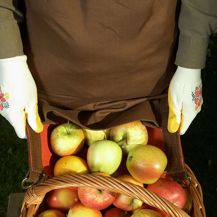 Planto Fruit Picking Bag - Greenhouse Megastore