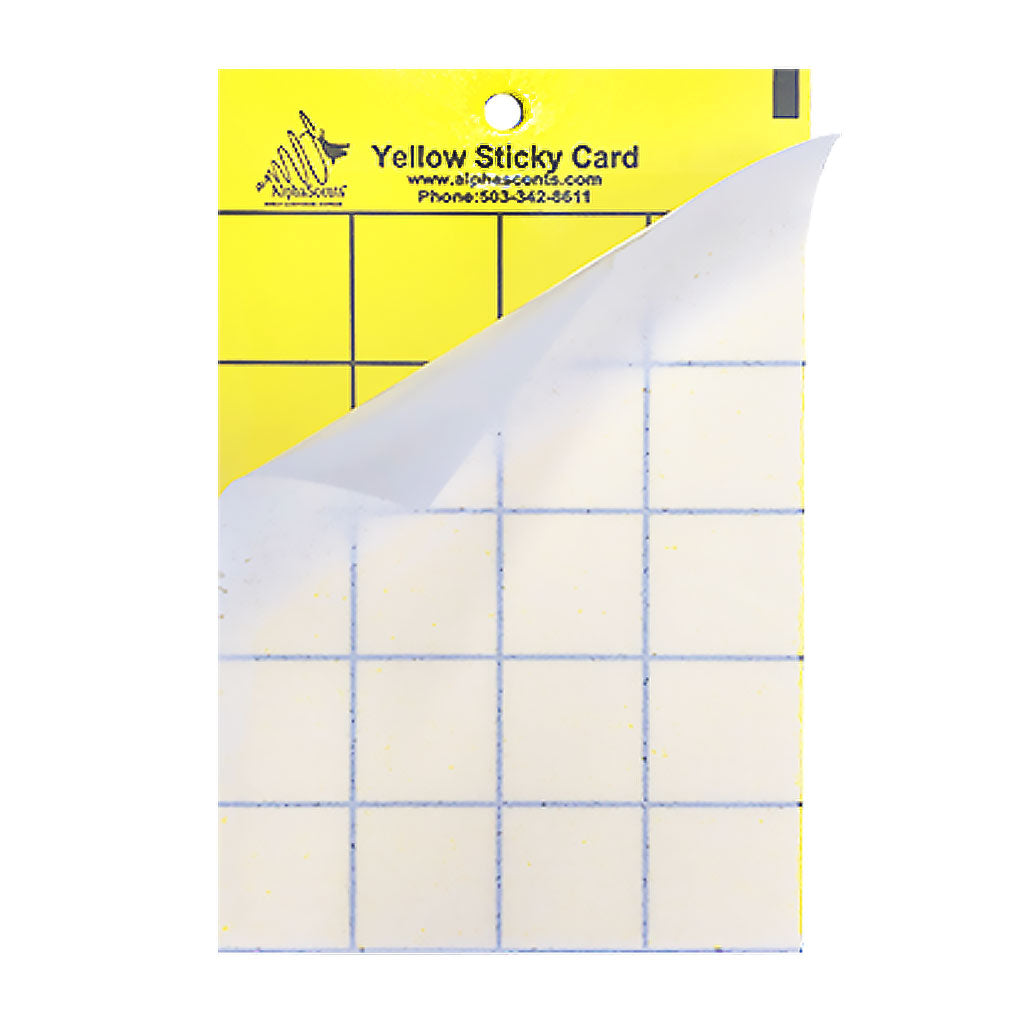 Yellow Jacket Wasp Trap and Lure - Pack of 5