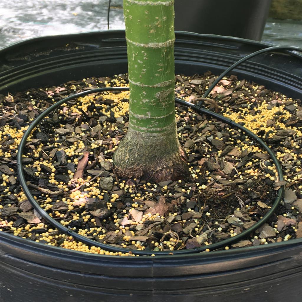 Pressure Compensated Dribble Ring - Greenhouse Megastore