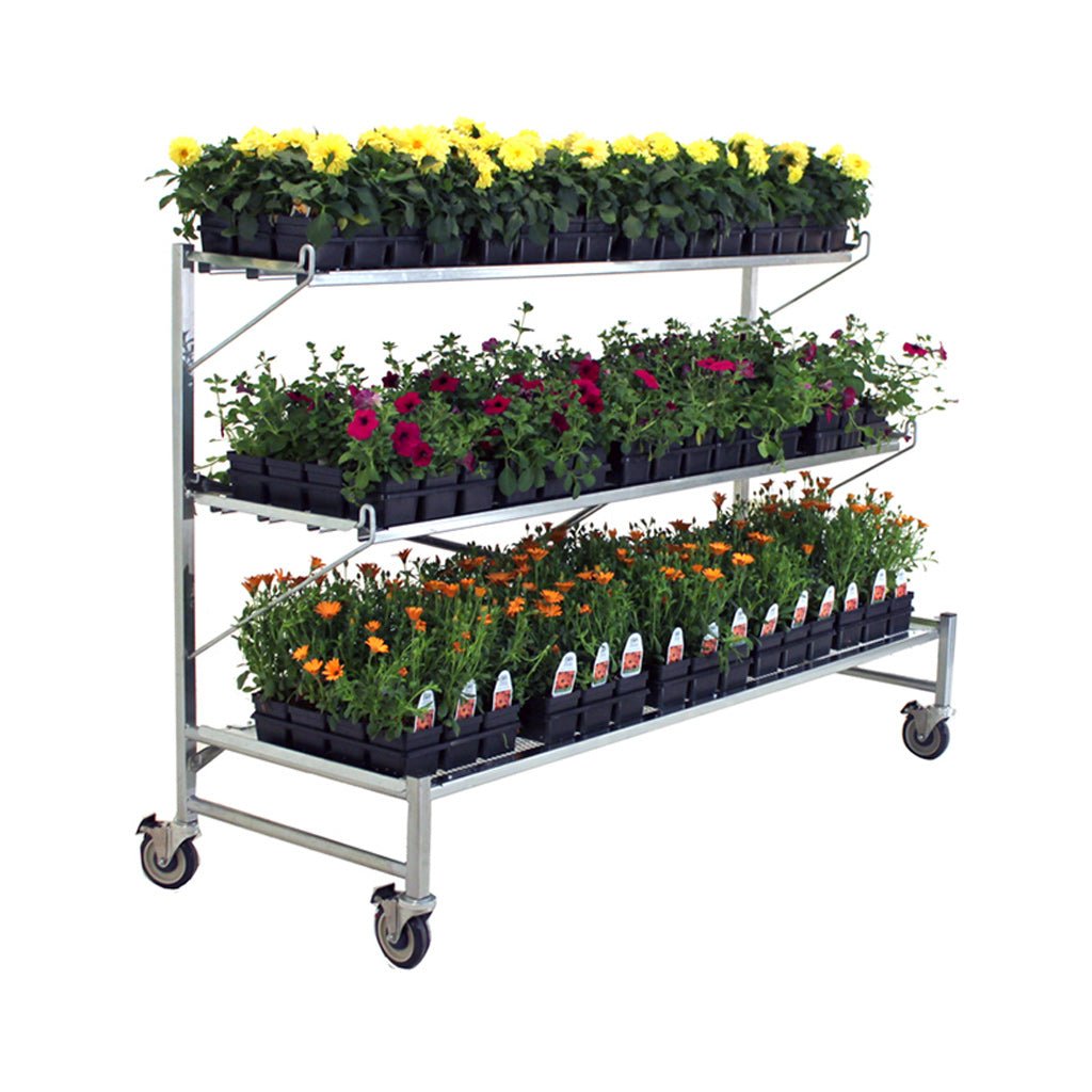 PX7025 Flat Mate Display - Greenhouse Megastore
