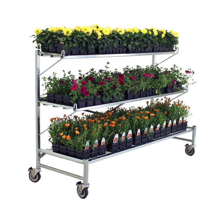 PX7025 Flat Mate Display - Greenhouse Megastore
