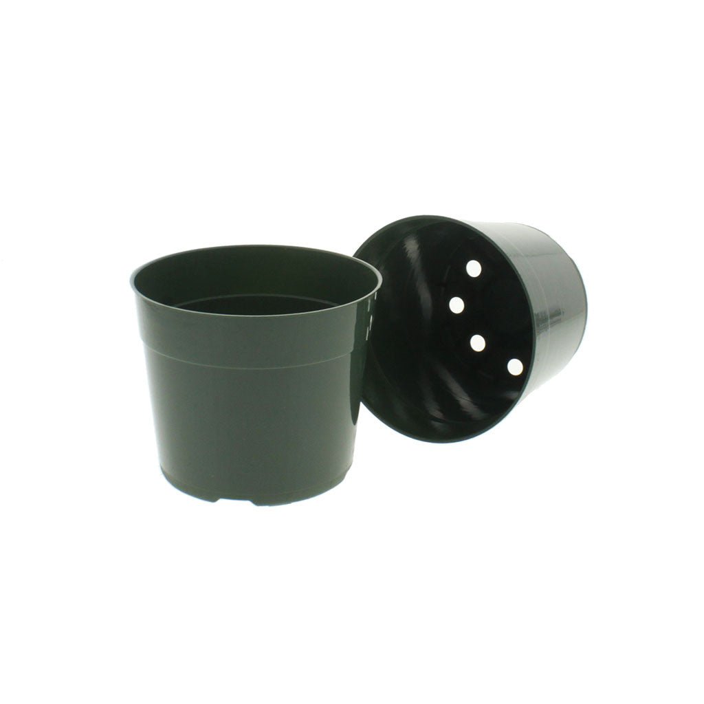 Round Green Mum Pots - Greenhouse Megastore