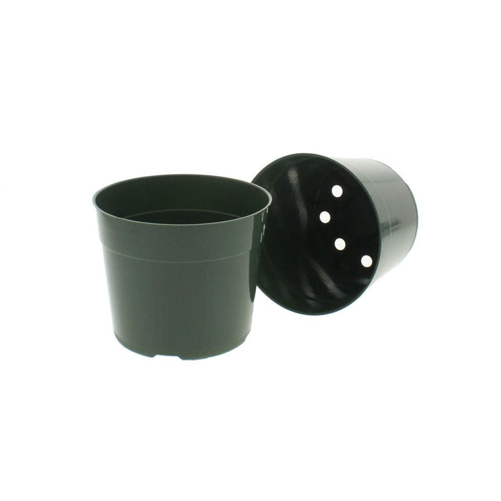 Round Green Mum Pots - Greenhouse Megastore